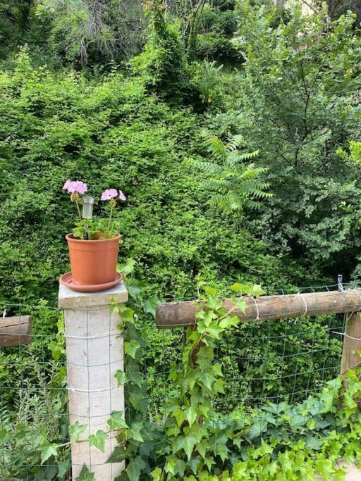 Villa Serenice - F2 Au Calme, Climatise, Wifi Et Parking Gratuit Exterior foto